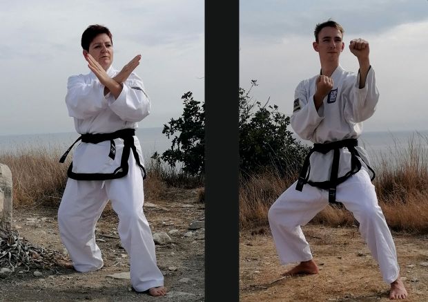 Die unterrichtenden Meister